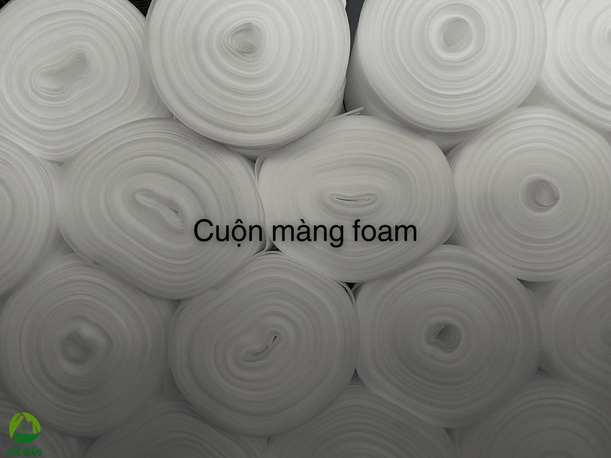 Cuộn màng foam