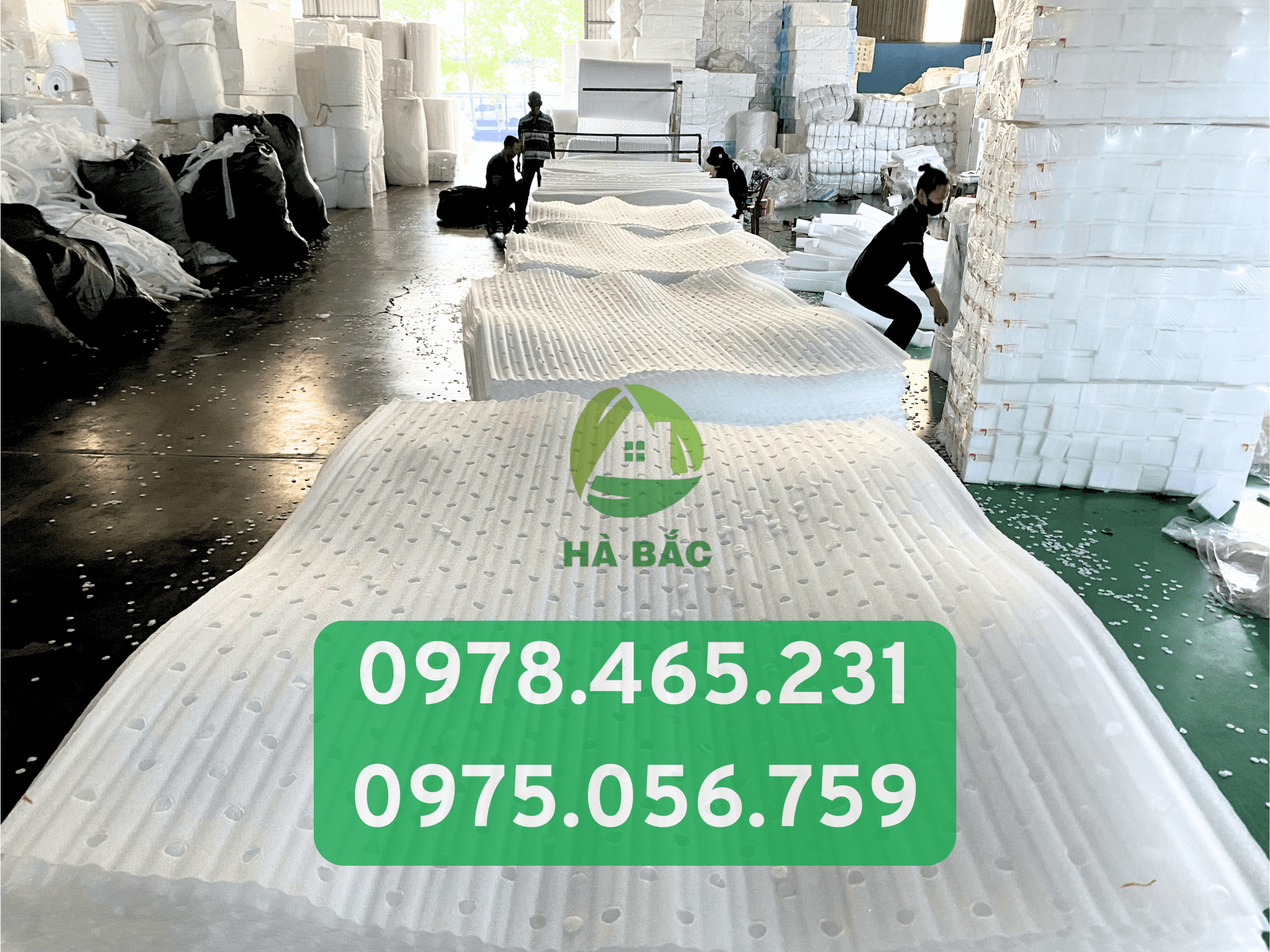 Xóp lót sầu riêng