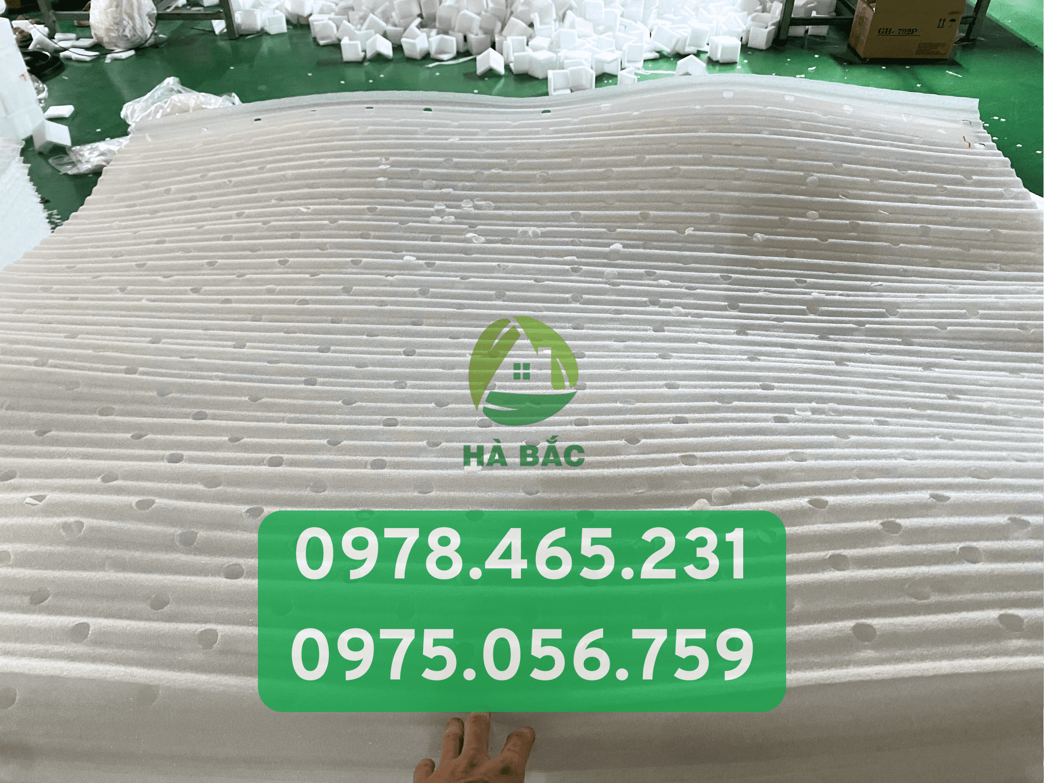 Xóp lót sầu riêng