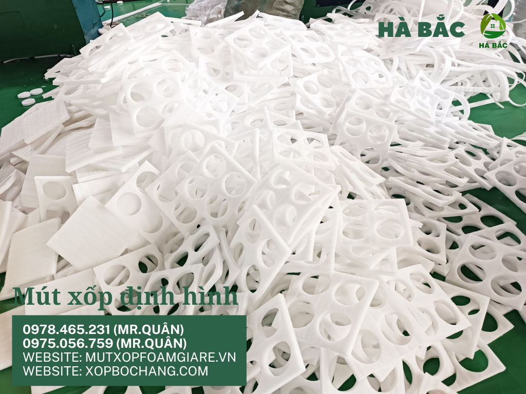 Khay xốp định hình tại Tân Uyên Khay xốp định hình tại Tân Uyên