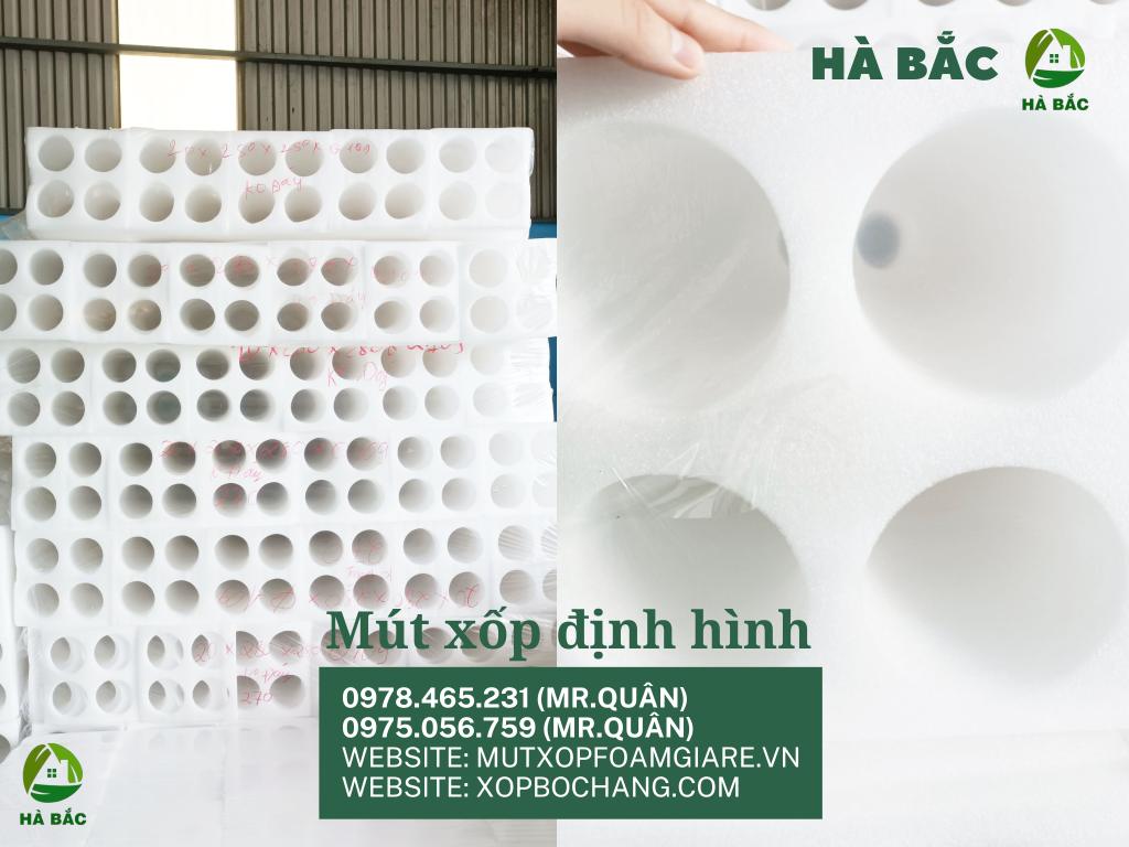 Khay xốp định hình tại Tân Uyên Khay xốp định hình tại Tân Uyên