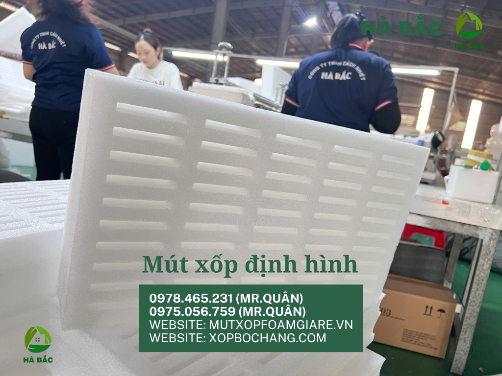 Khay xốp định hình tại Tân Uyên Khay xốp định hình tại Tân Uyên