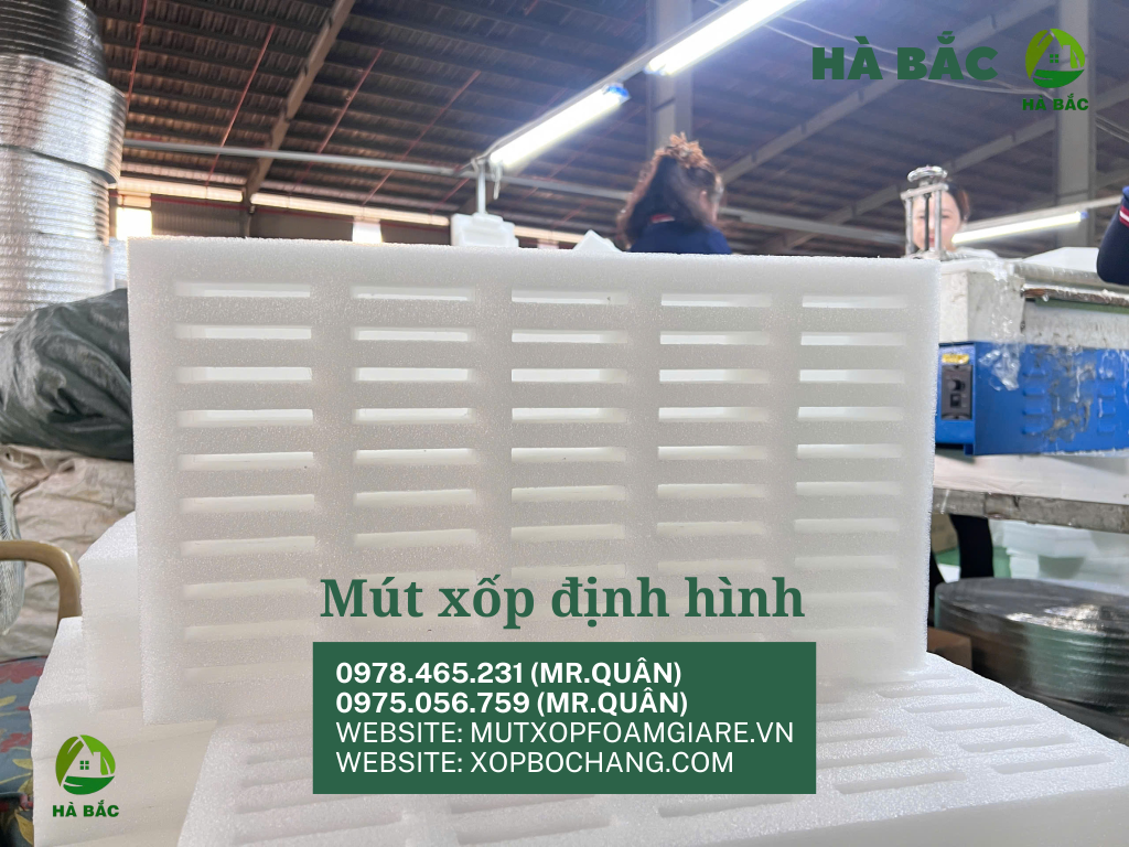 Khay xốp định hình tại Tân Uyên Khay xốp định hình tại Tân Uyên