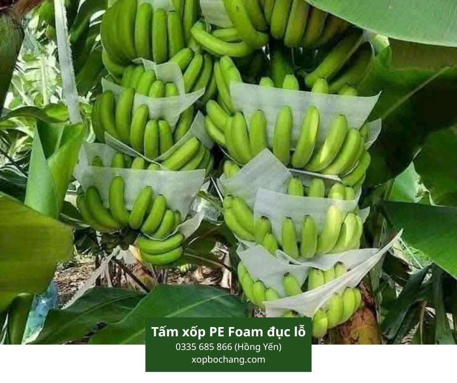 Tấm xốp PE Foam đục lỗ Tấm xốp PE Foam đục lỗ