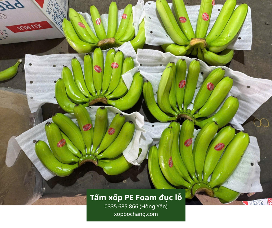 Tấm xốp PE Foam đục lỗ Tấm xốp PE Foam đục lỗ