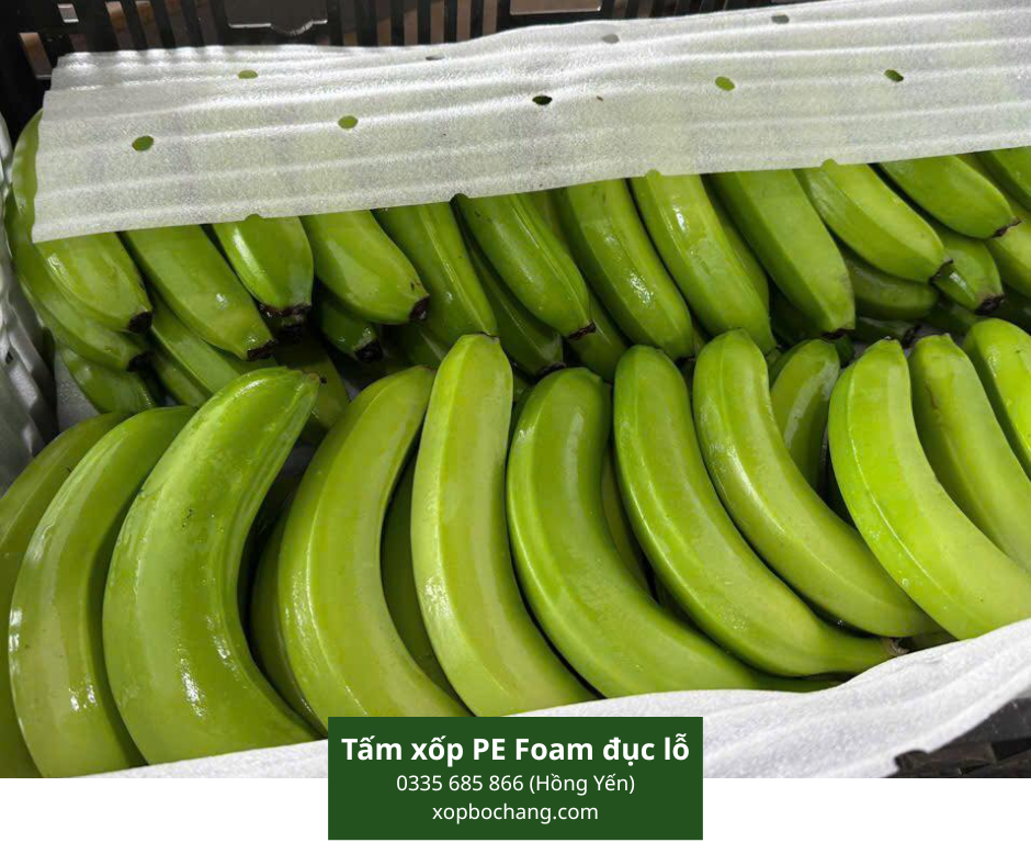 Tấm xốp PE Foam đục lỗ Tấm xốp PE Foam đục lỗ