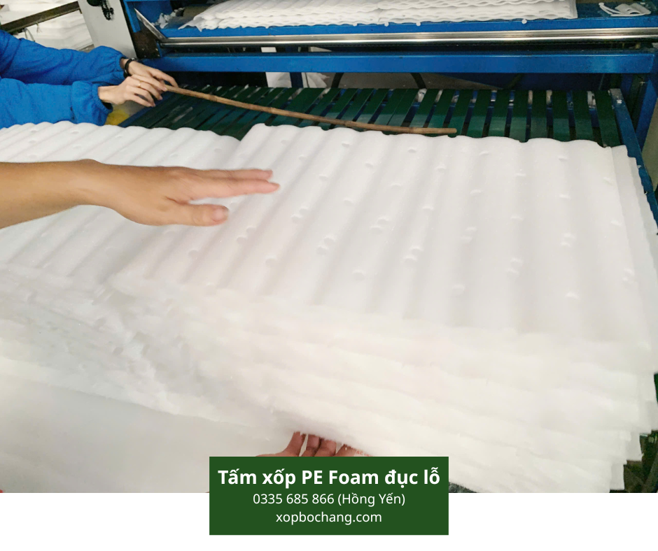 Tấm xốp PE Foam đục lỗ Tấm xốp PE Foam đục lỗ