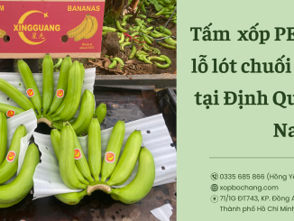 Tấm xốp PE Foam đục lỗ