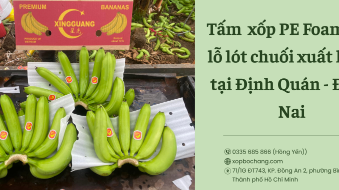 Tấm xốp PE Foam đục lỗ Tấm xốp PE Foam đục lỗ