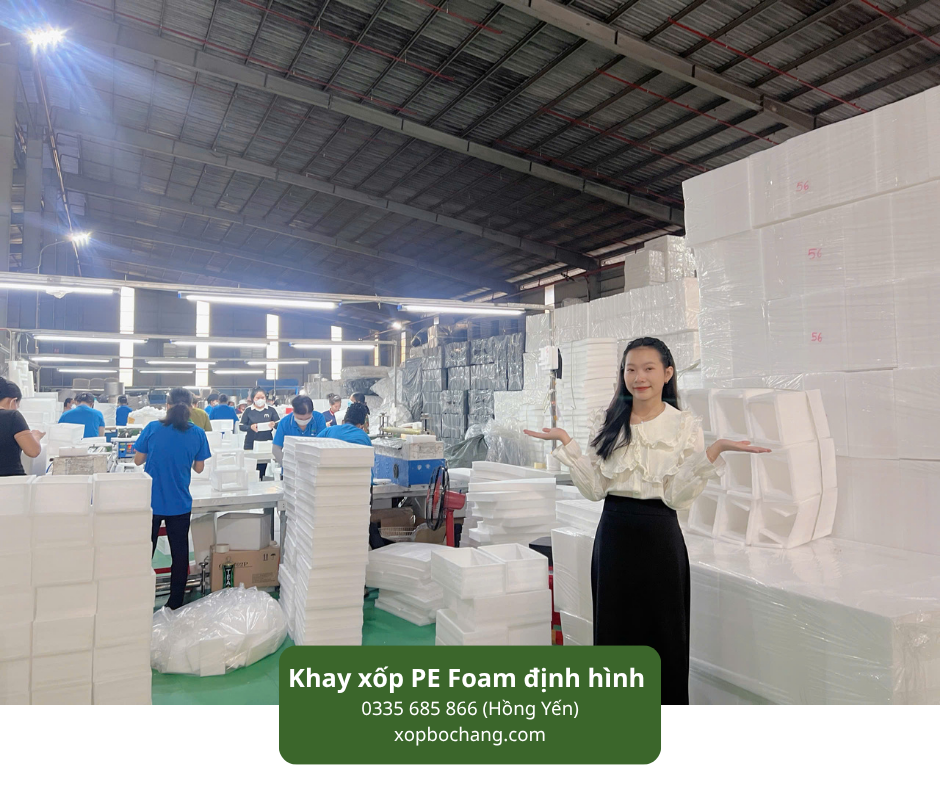 Khay xốp PE Foam định hình
