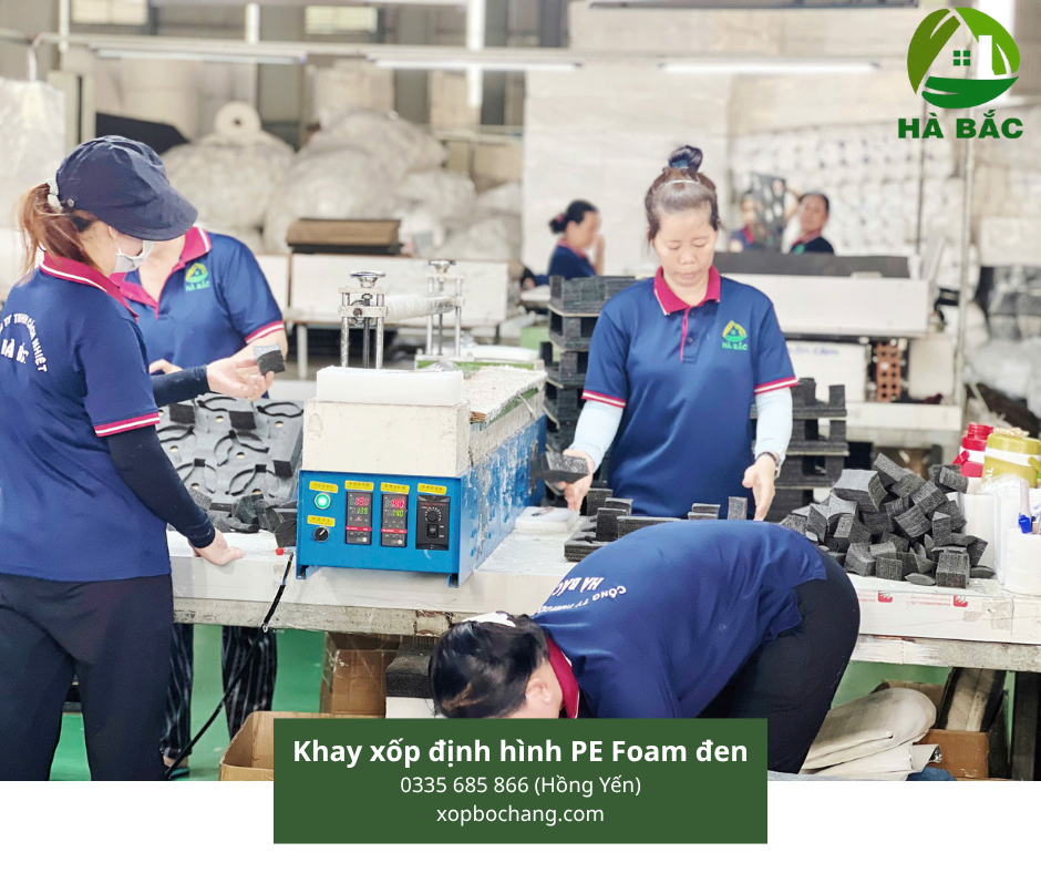 Khay xốp định hình PE Foam đen