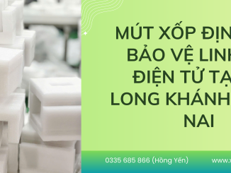 Mút xốp định hình