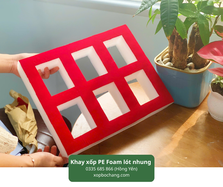 Khay xốp PE Foam lót nhung