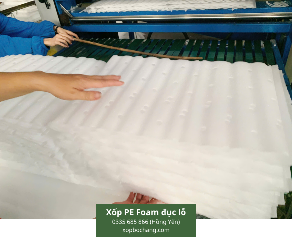 Xốp PE Foam đục lỗ Xốp PE Foam đục lỗ