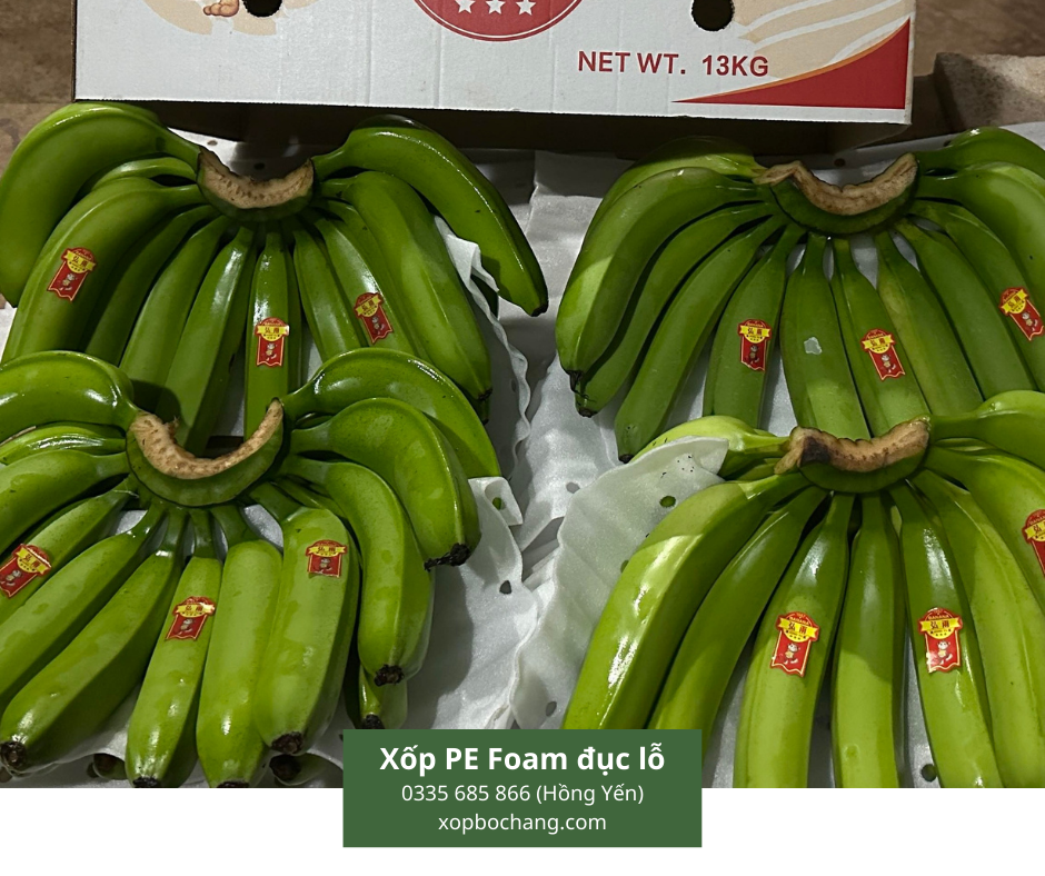 Xốp PE Foam đục lỗ Xốp PE Foam đục lỗ