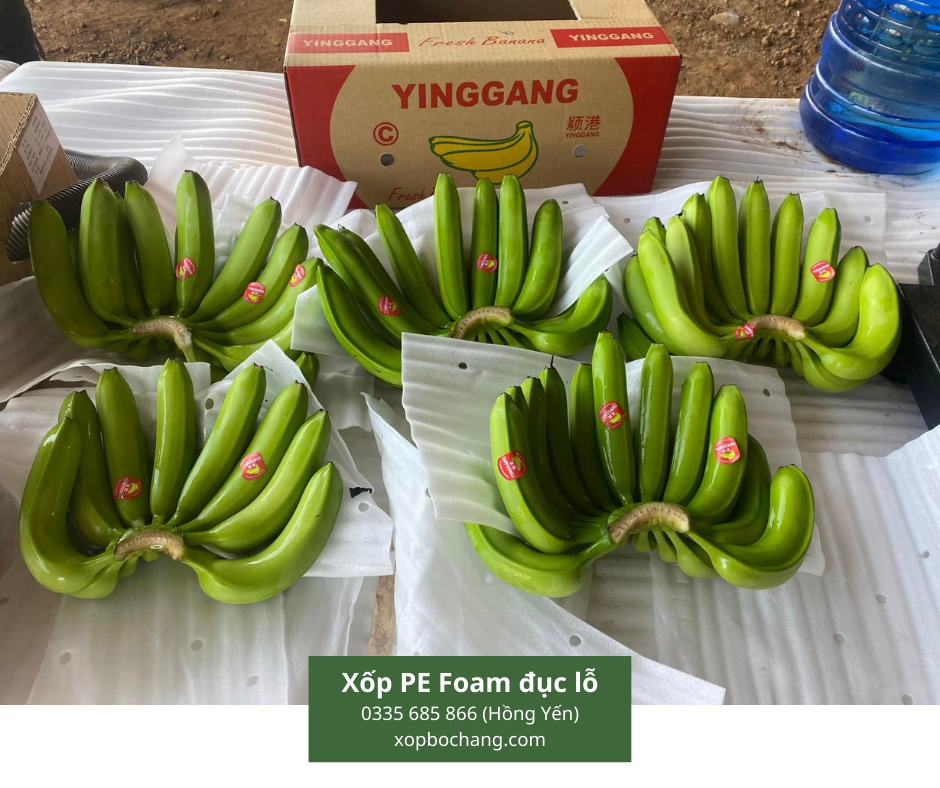 Xốp PE Foam đục lỗ Xốp PE Foam đục lỗ