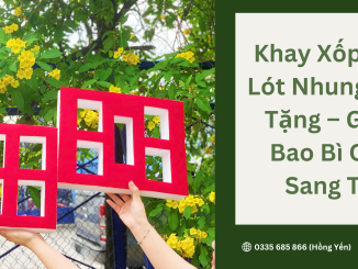 Khay xốp PE Foam lót nhung