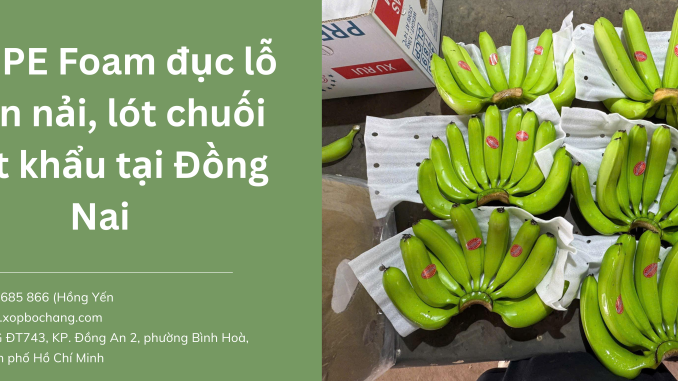 Xốp PE Foam đục lỗ Xốp PE Foam đục lỗ