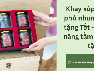 Khay xốp PE Foam phủ nhung