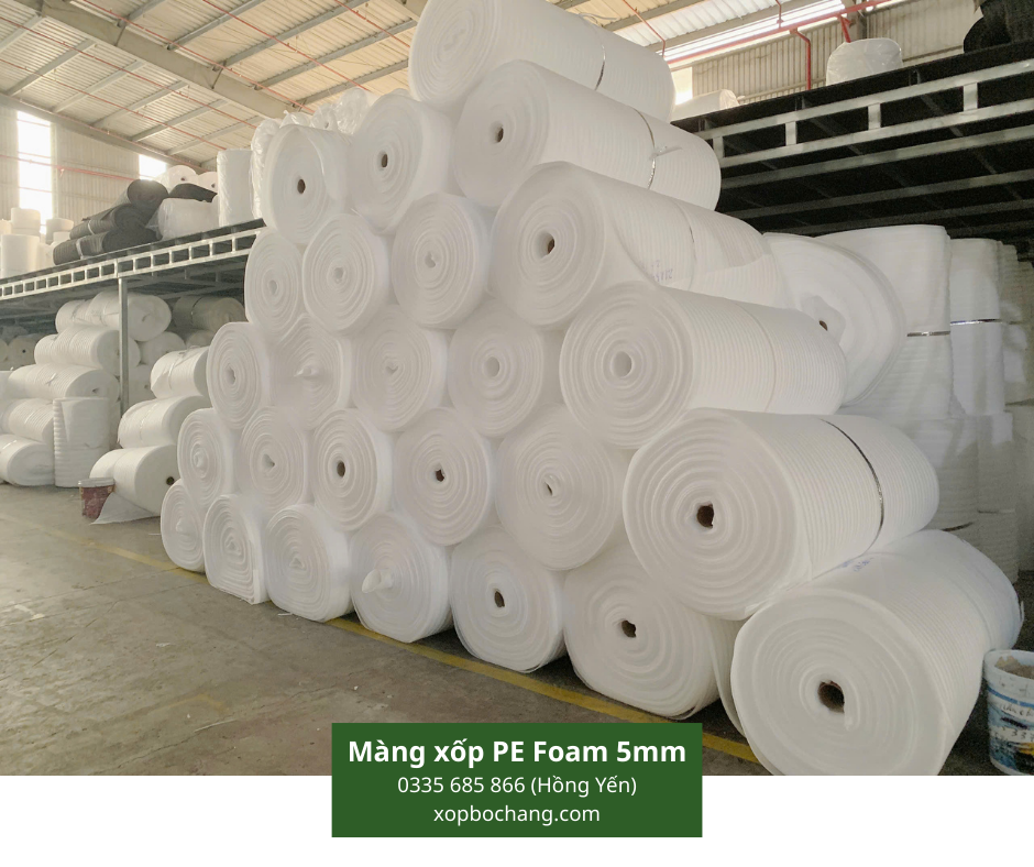 Màng xốp PE Foam 5mm Màng xốp PE Foam 5mm