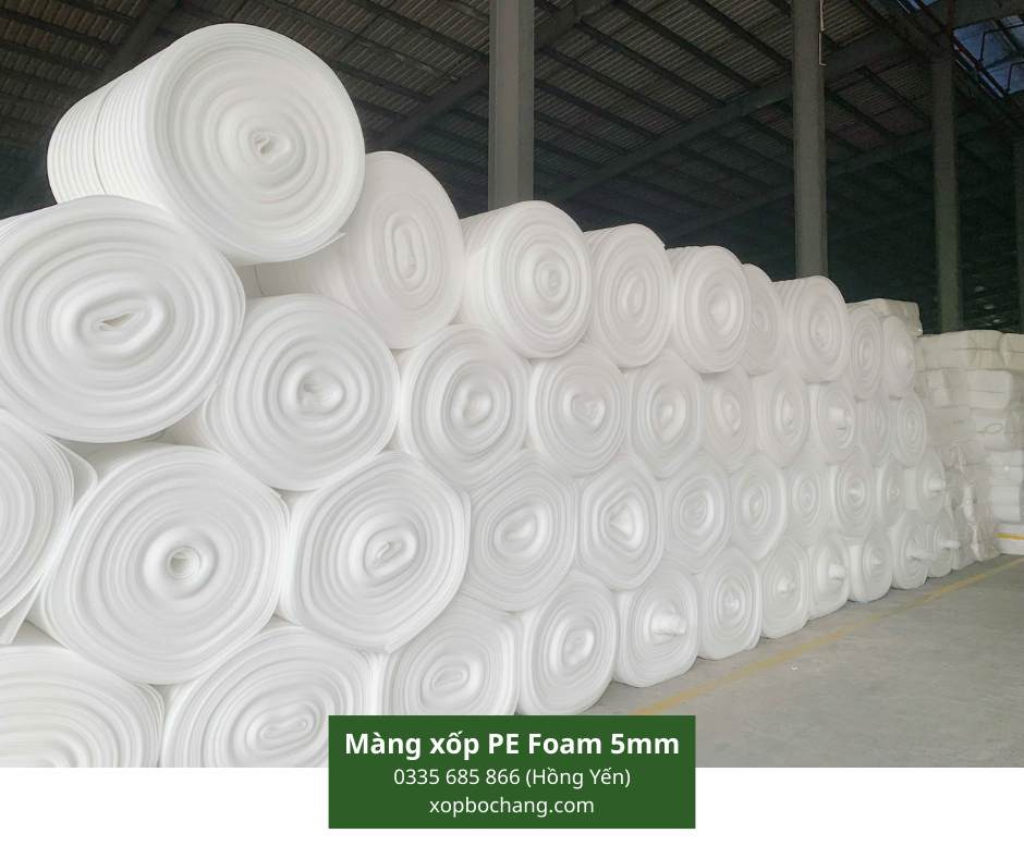 Màng xốp PE Foam 5mm Màng xốp PE Foam 5mm