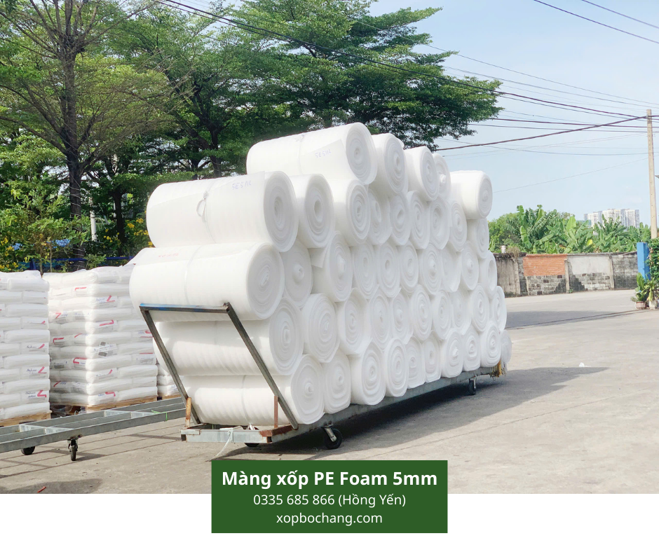 Màng xốp PE Foam 5mm Màng xốp PE Foam 5mm