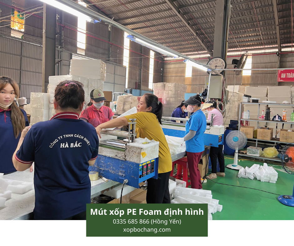 Mút xốp PE Foam định hình Mút xốp PE Foam định hình