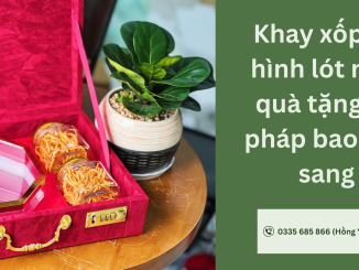 Khay xốp EPE định hình lót nhung