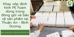 Khay xốp định hình PE Foam