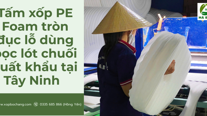 Tấm xốp PE Foam tròn đục lỗ Tấm xốp PE Foam tròn đục lỗ
