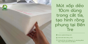 Mút xốp dẻo 10cm