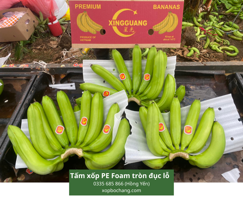 Tấm xốp PE Foam tròn đục lỗ Tấm xốp PE Foam tròn đục lỗ