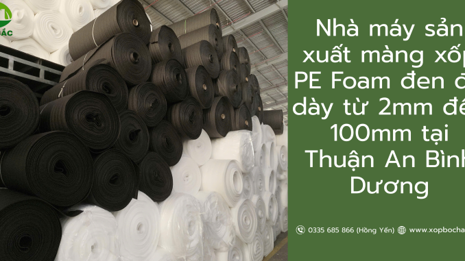 Màng xốp PE Foam đen