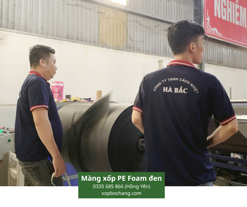 Màng xốp PE Foam đen