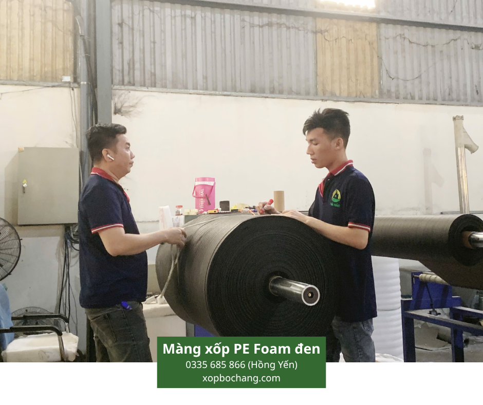 Màng xốp PE Foam đen