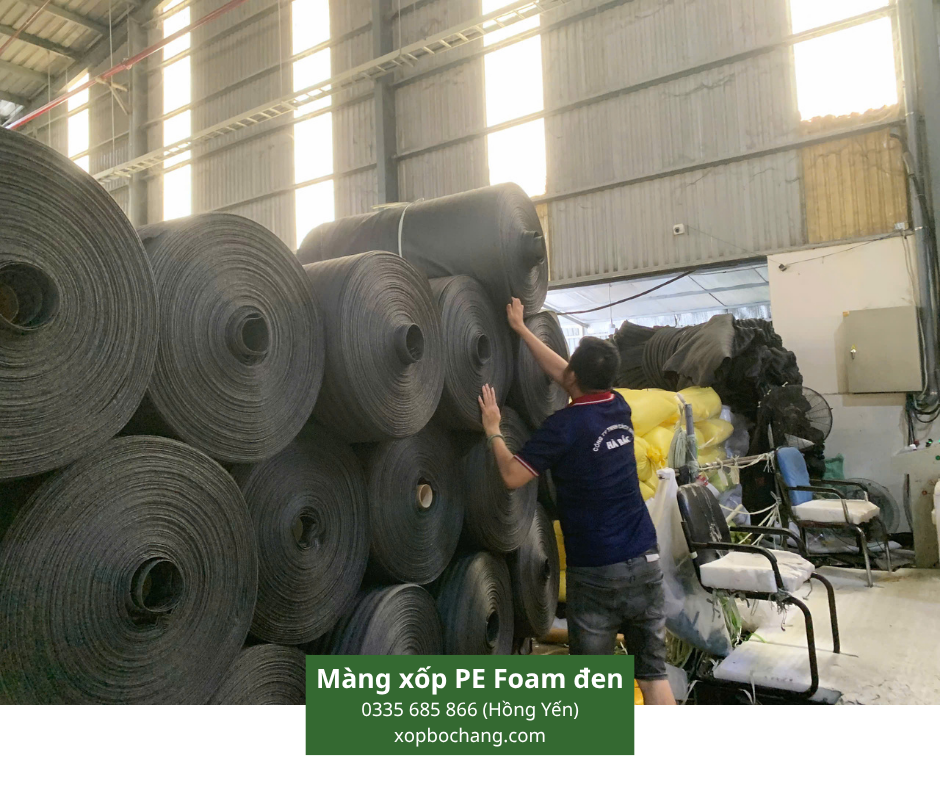 Màng xốp PE Foam đen