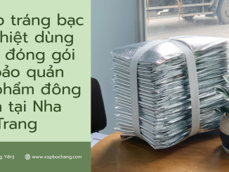 Túi xốp tráng bạc giữ nhiệt