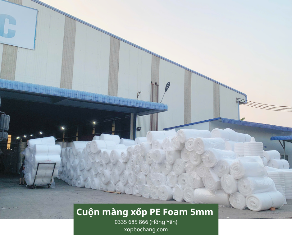 Cuộn màng xốp PE Foam 5mm