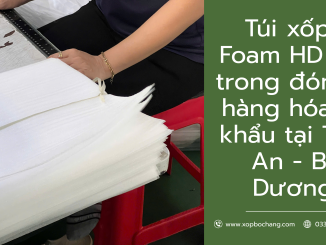 Túi xốp PE Foam HD