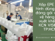 Xốp EPE định hình