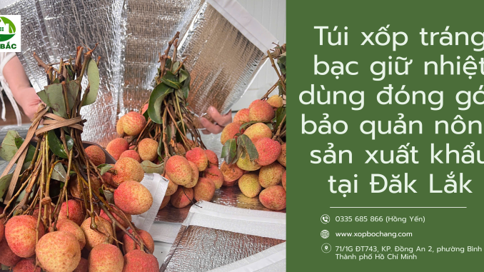 Túi xốp tráng bạc giữ nhiệt Túi xốp tráng bạc giữ nhiệt
