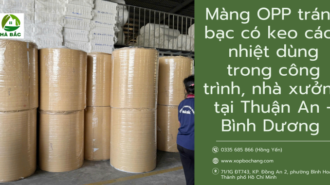 Màng OPP tráng bạc có keo Màng OPP tráng bạc có keo