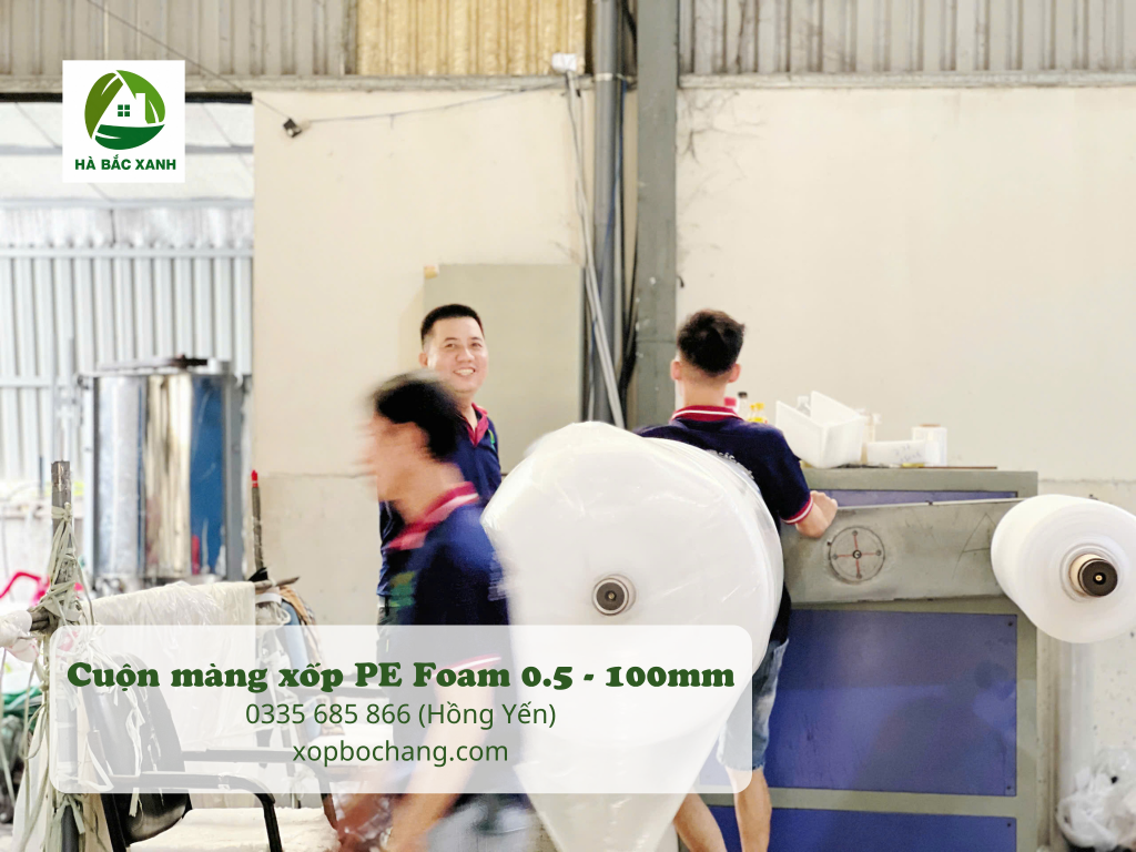 Cuộn màng xốp PE Foam Cuộn màng xốp PE Foam