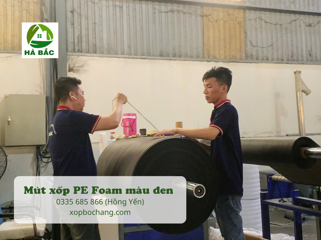 Mút xốp PE Foam màu đen Mút xốp PE Foam màu đen