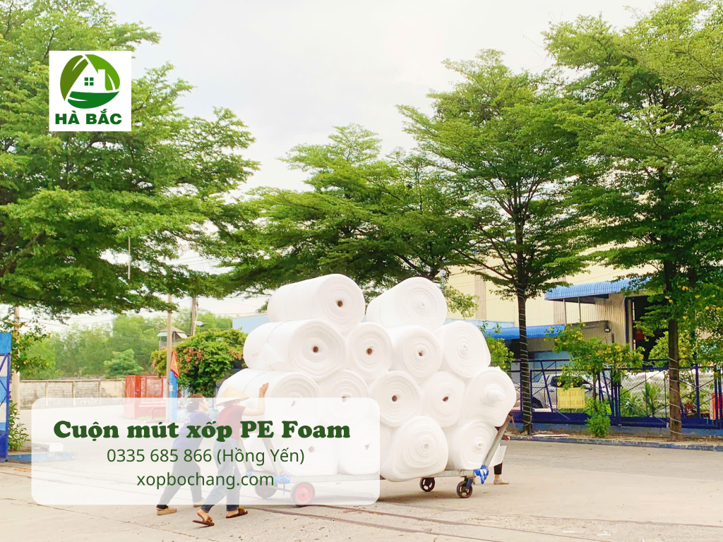 cuộn mút xốp PE Foam cuộn mút xốp PE Foam