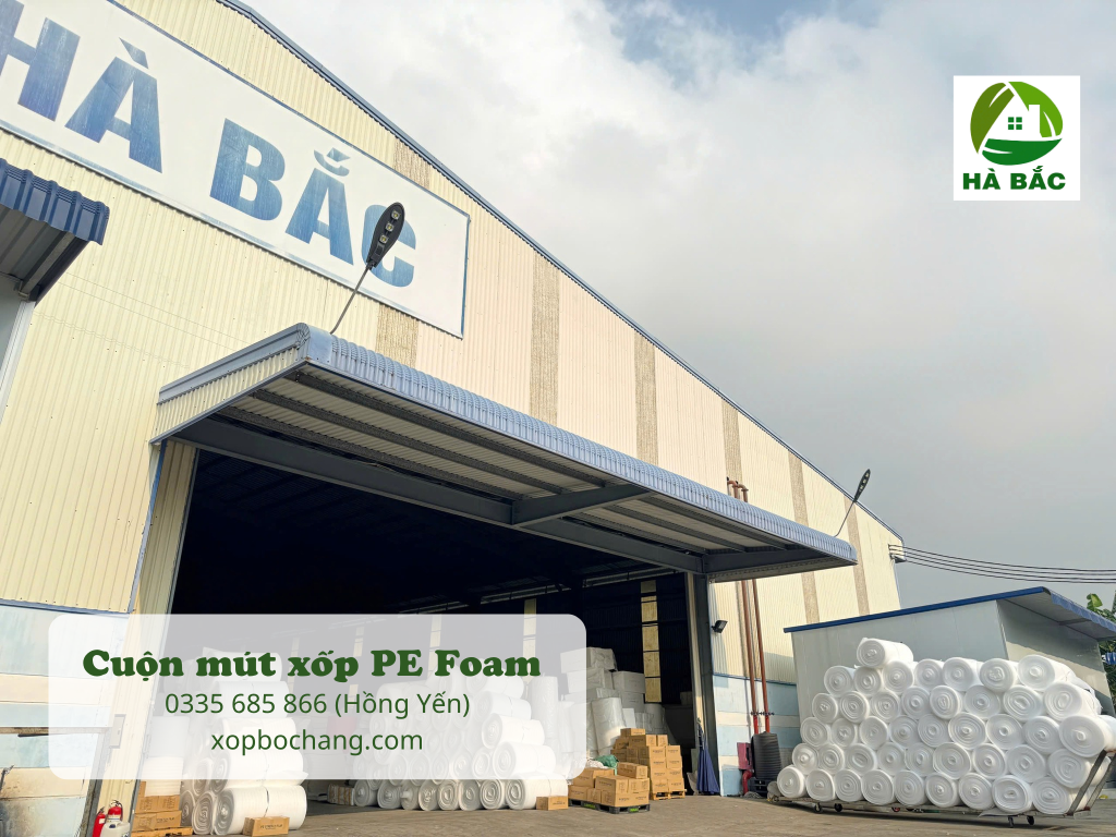 cuộn mút xốp PE Foam cuộn mút xốp PE Foam