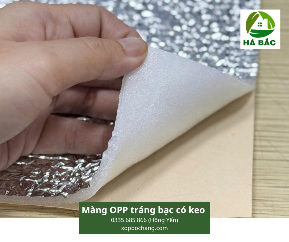 Màng OPP tráng bạc có keo Màng OPP tráng bạc có keo