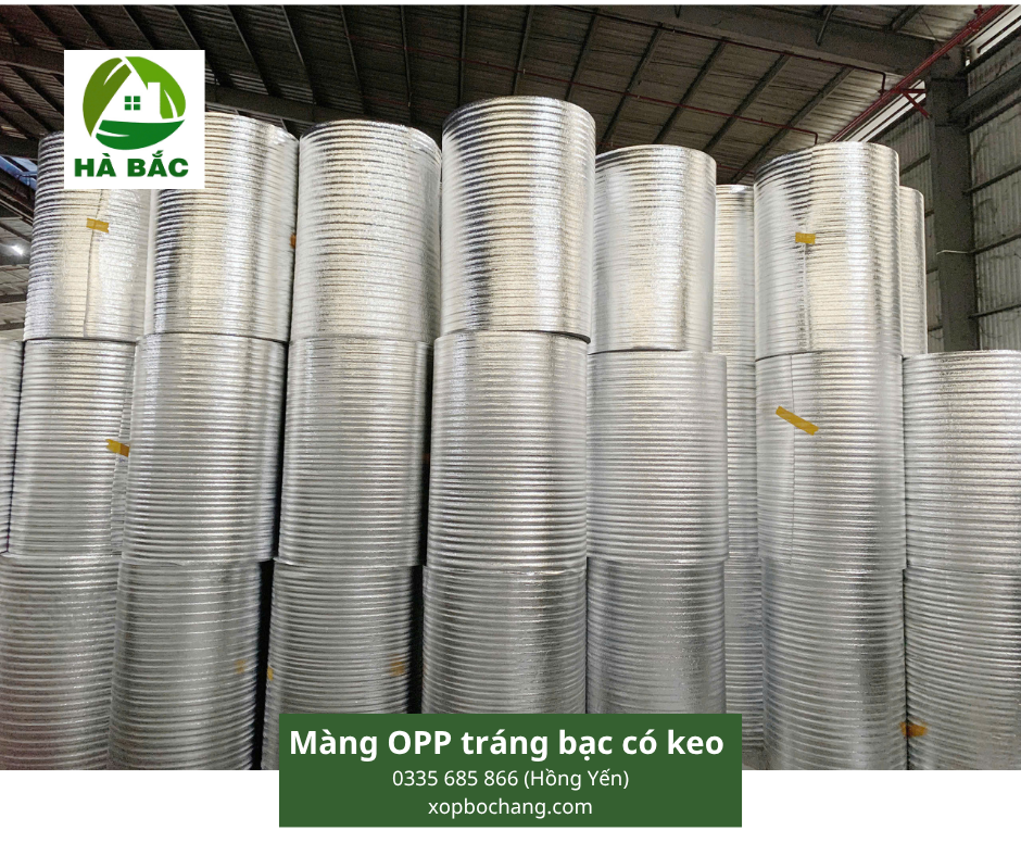 Màng OPP tráng bạc có keo Màng OPP tráng bạc có keo