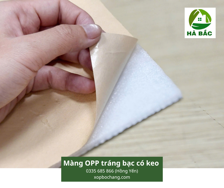 Màng OPP tráng bạc có keo Màng OPP tráng bạc có keo