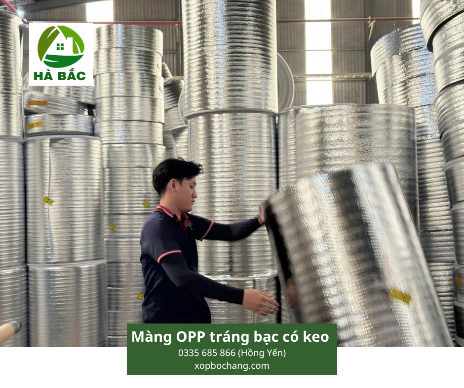 Màng OPP tráng bạc có keo Màng OPP tráng bạc có keo